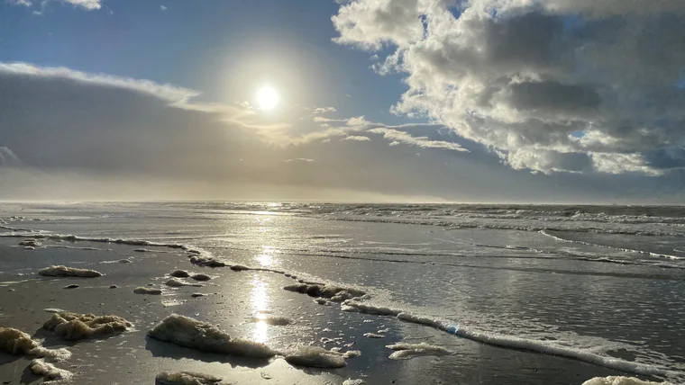Am Meer