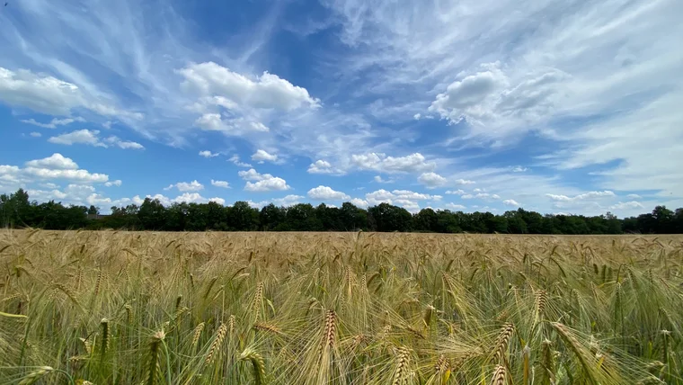 Sommerfeld